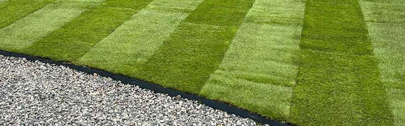 Turf